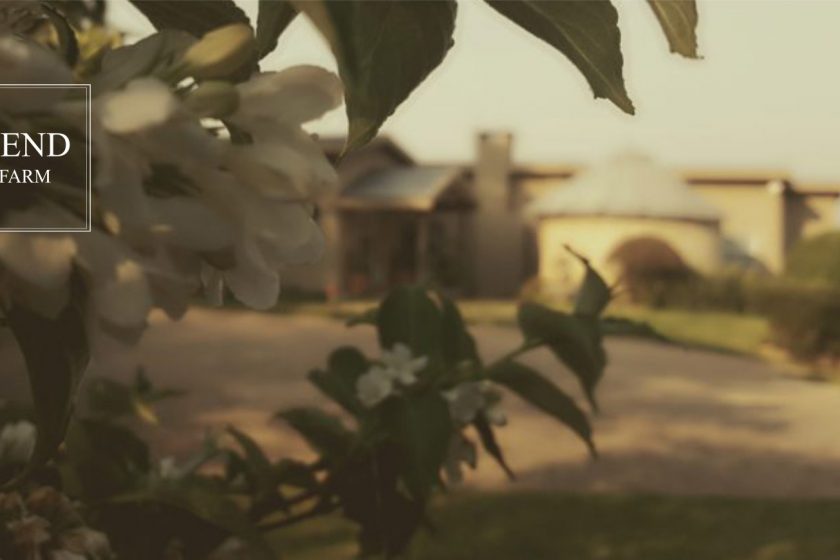 Lind End Guest Farm - The House (top)